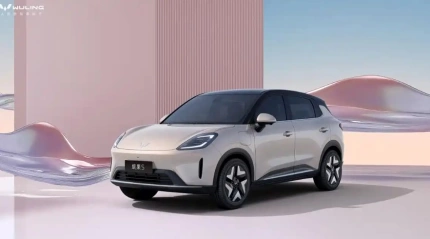 Wuling Bingo S 2025